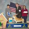 Group 1, Judge Donna Buxton, Savannah Kennel Club