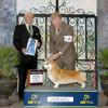 Group 1, Judge Charles Trotter, Charleston Kennel Club