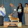 Group 1, Judge Christina Hubbell, Sawnee Mountain Kennel Club of Georgia