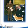 BOB, Breeder Judge Gareth Morgan-Jones, Space Coast Kennel Club, Eukanuba week.