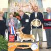 BIS #1, Judge Virginia Lyne, Atlanta Kennel Club.